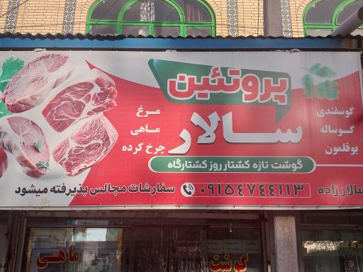 عکس پروتئین سالارزاده