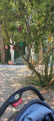 عکس آتلیه باغ کودک