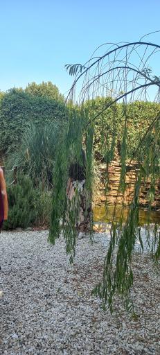 عکس آتلیه باغ کودک