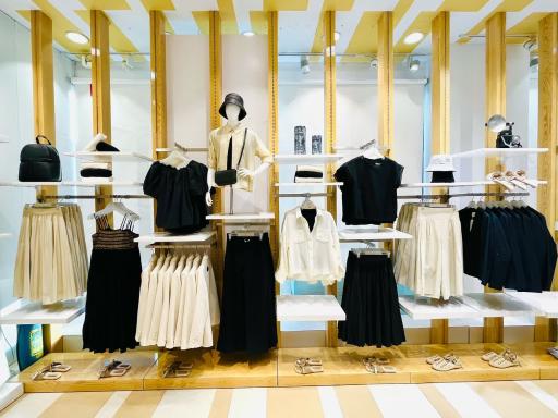 عکس جین وست بام‌لند