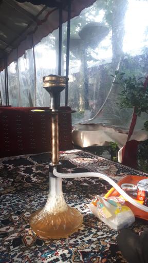 عکس رستوران ارکیده 