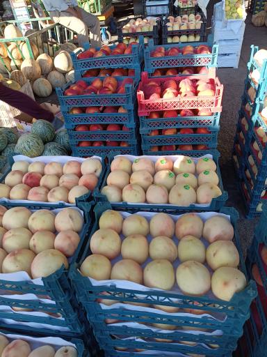 عکس میوه فروشی قدری