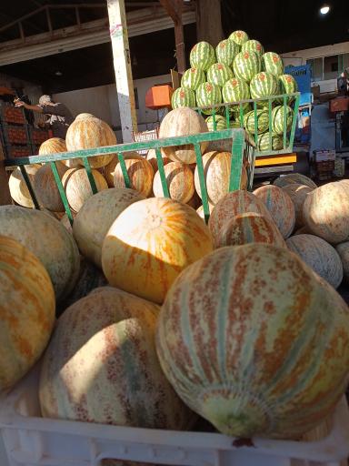 عکس میوه فروشی قدری