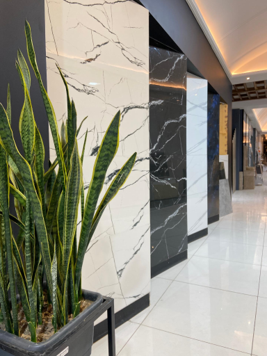 عکس بازرگانی کاشی و سرامیک رضا جلالی