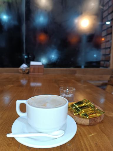 عکس فست فود شولن