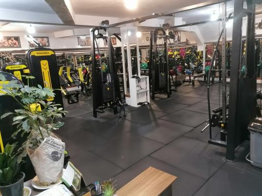 عکس باشگاه بدنسازی دیاکو