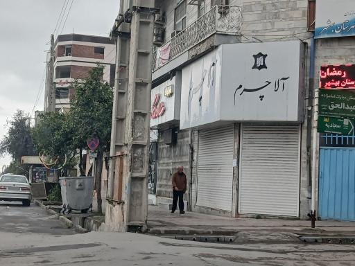 عکس آلا چرم