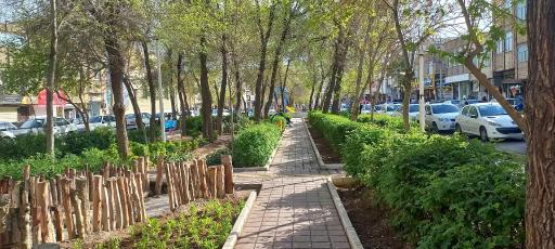 عکس بوستان زنگارکی