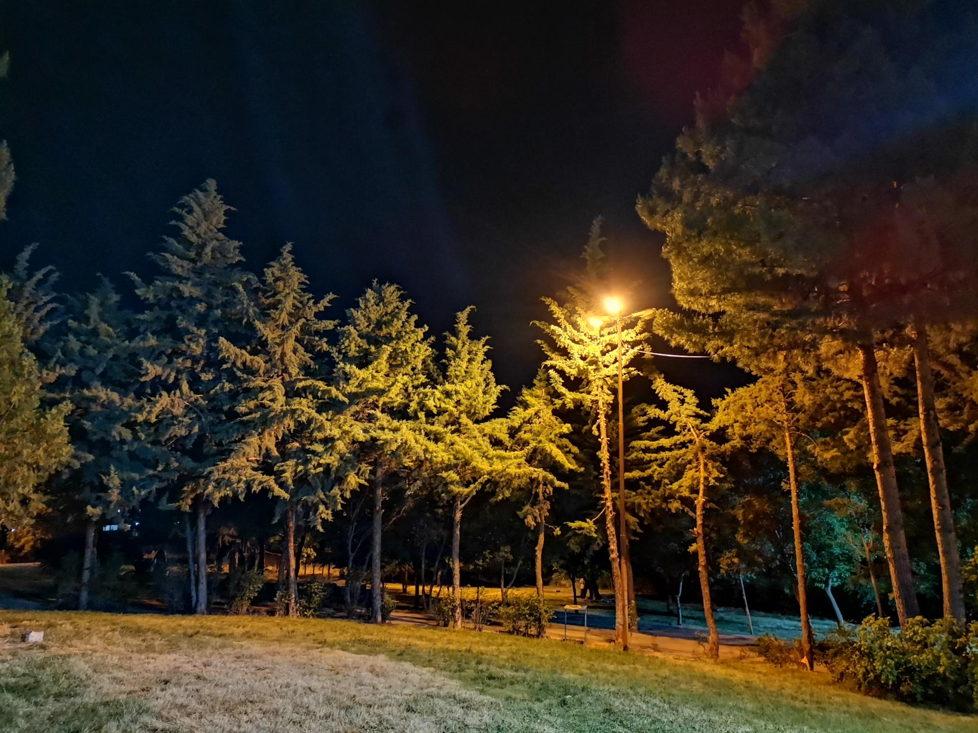 عکس پارک هلانیه