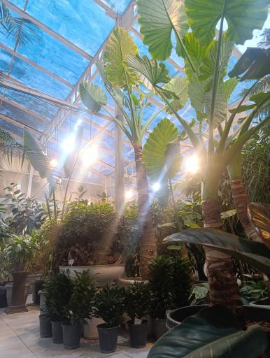 عکس گل و گیاه آوای سبز