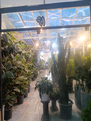 عکس گل و گیاه آوای سبز