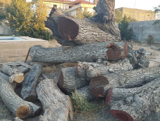 عکس چوبکده محمدی