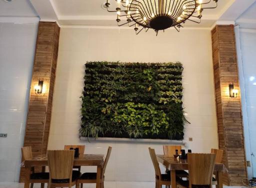 عکس مستر باربیکیو