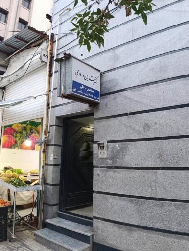 عکس دکتر شاهین ودودی