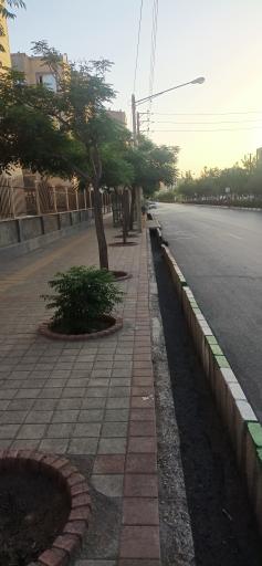  سجادیه 6