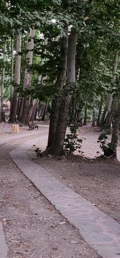 عکس اکو پارک رود دره فرحزاد