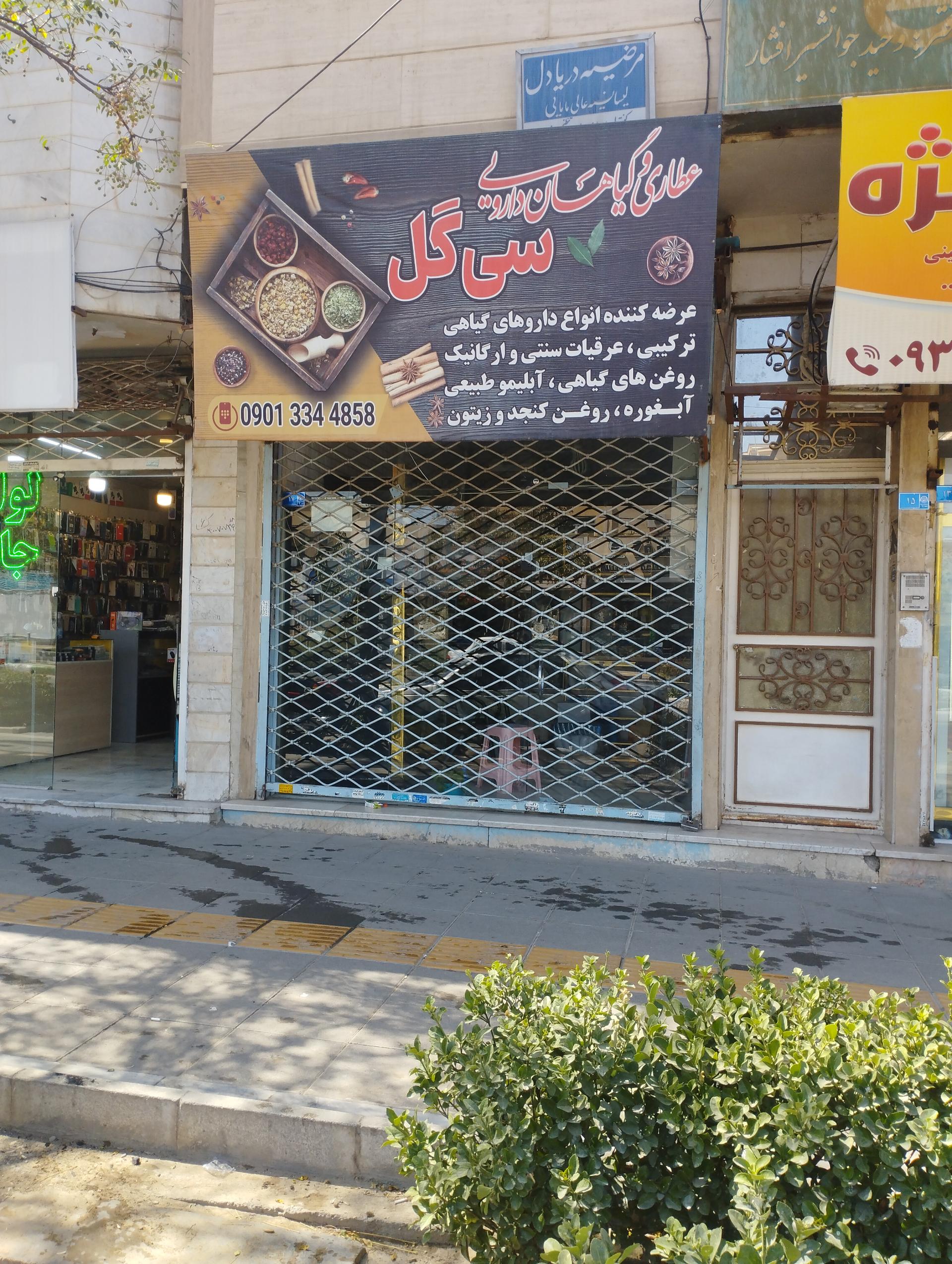 عکس عطاری سی گل