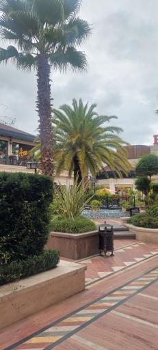 عکس انزل مال