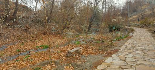 عکس اکو پارک رود دره فرحزاد