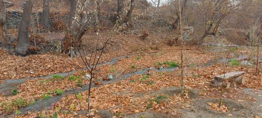 عکس اکو پارک رود دره فرحزاد