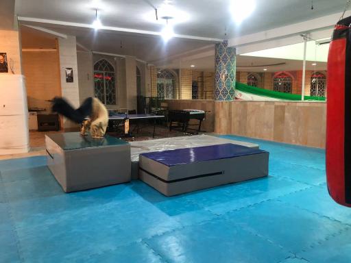 عکس باشگاه پارکور و ژیمناستیک پوریای ولی 