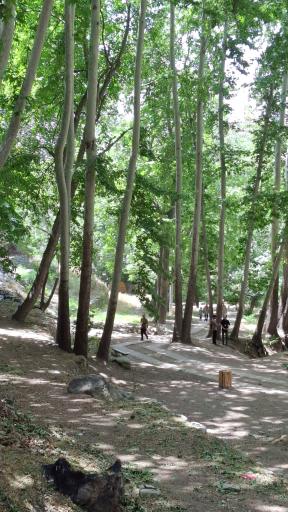 عکس اکو پارک رود دره فرحزاد