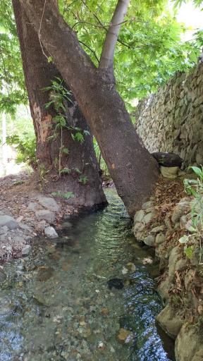 عکس اکو پارک رود دره فرحزاد