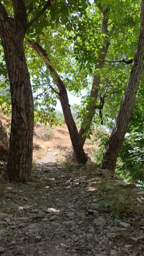 عکس اکو پارک رود دره فرحزاد