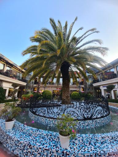 عکس انزل مال