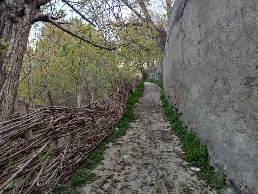 عکس اکو پارک رود دره فرحزاد