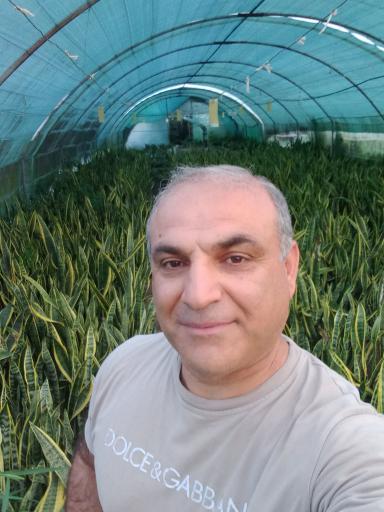 عکس گلخانه شایان