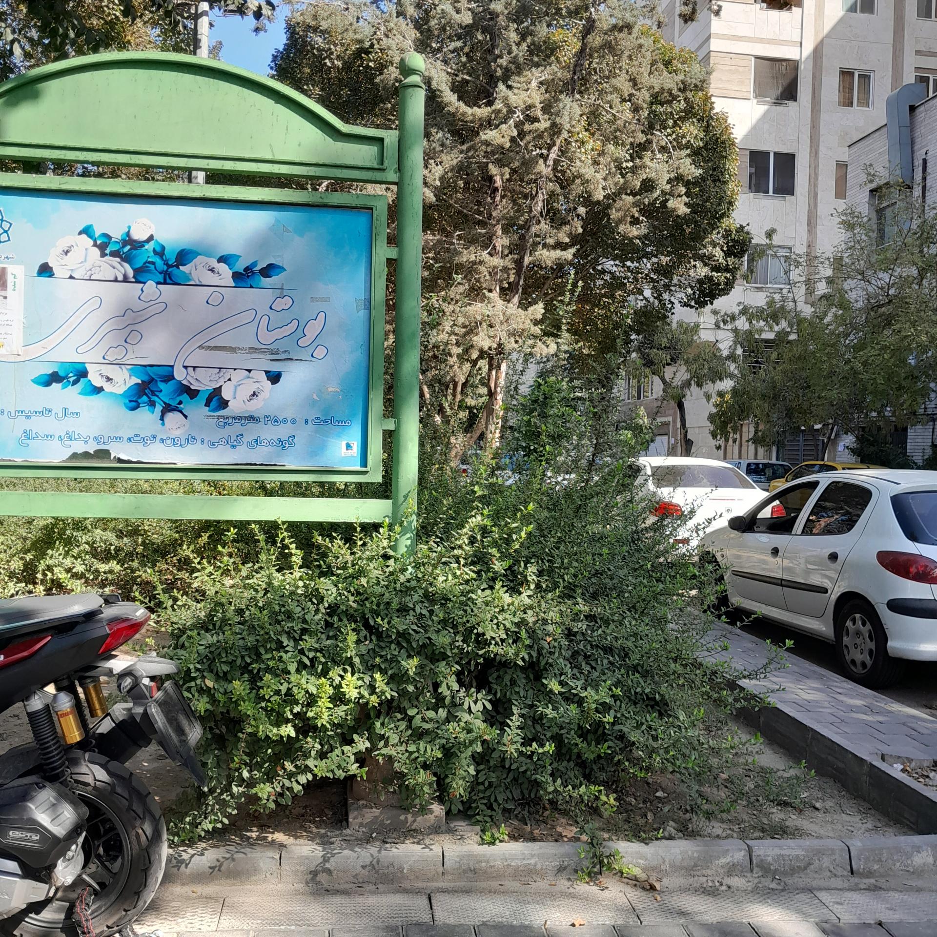 عکس بوستان شبیری