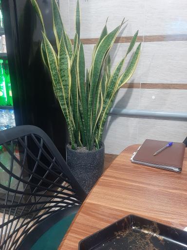 عکس فست فود دینرو