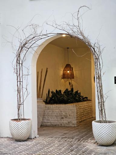 عکس کافه بلو باتل