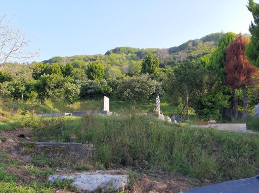 گلزار سیاورز