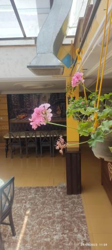 عکس سفره‌خانه سنتی الماس شهر