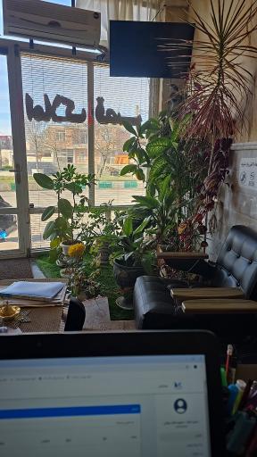 عکس مشاور املاک قصر