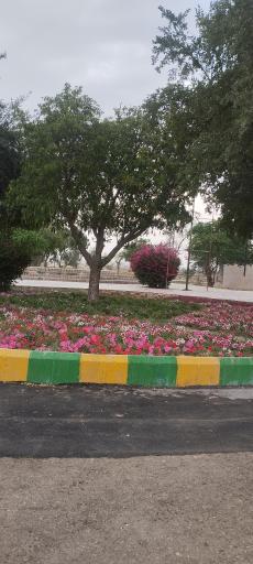 عکس پارک سیلو