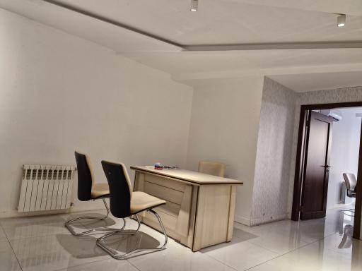 عکس دکتر رایکا جمالی