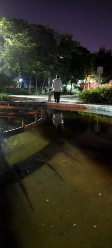 عکس زمین بازی نرگس