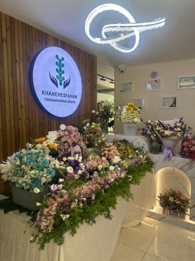 فیزیوتراپی خانه اصفهان