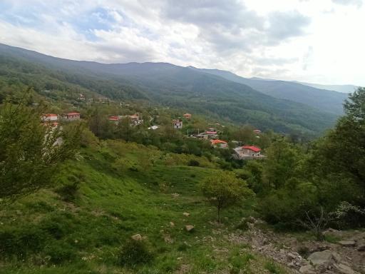 عکس ملچ آرام