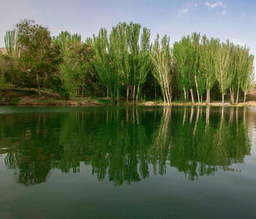 عکس سمیرم