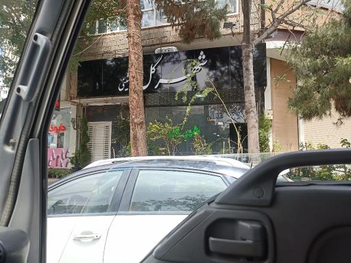 عکس گل فروشی رامشینی 