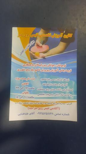 عکس آکادمی تنیس روی میز سید