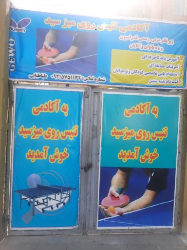 عکس آکادمی تنیس روی میز سید