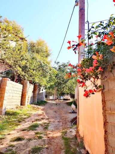عکس ملچ آرام