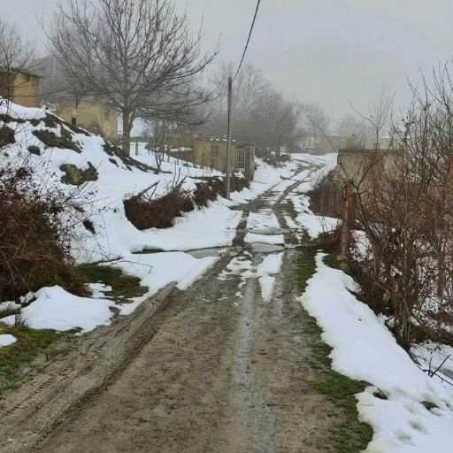 ملچ آرام
