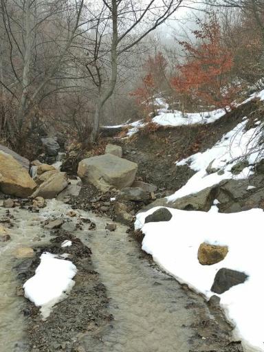 عکس ملچ آرام
