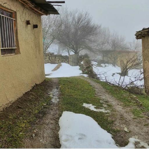 عکس ملچ آرام